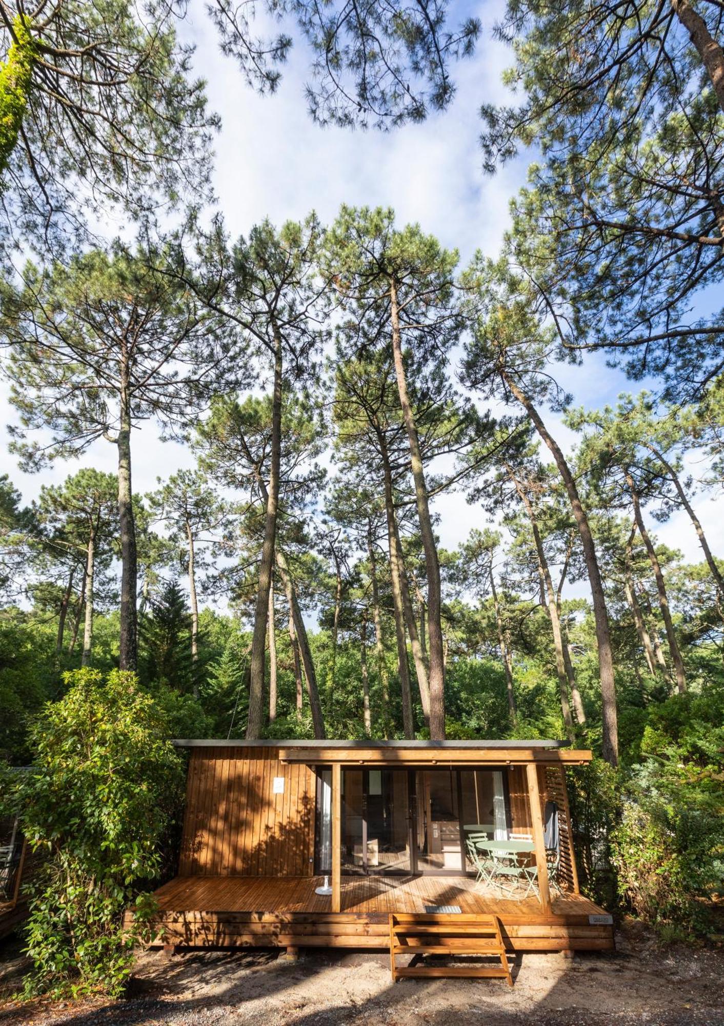 Huttopia Arcachon Rum bild
